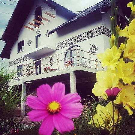 Ciocanesti Casa Aureliana 빌라 외부 사진