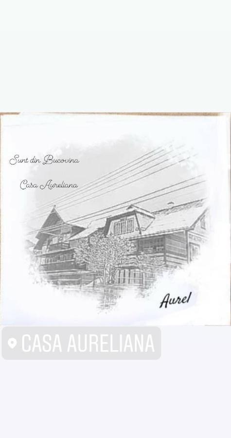 Ciocanesti Casa Aureliana 빌라 외부 사진