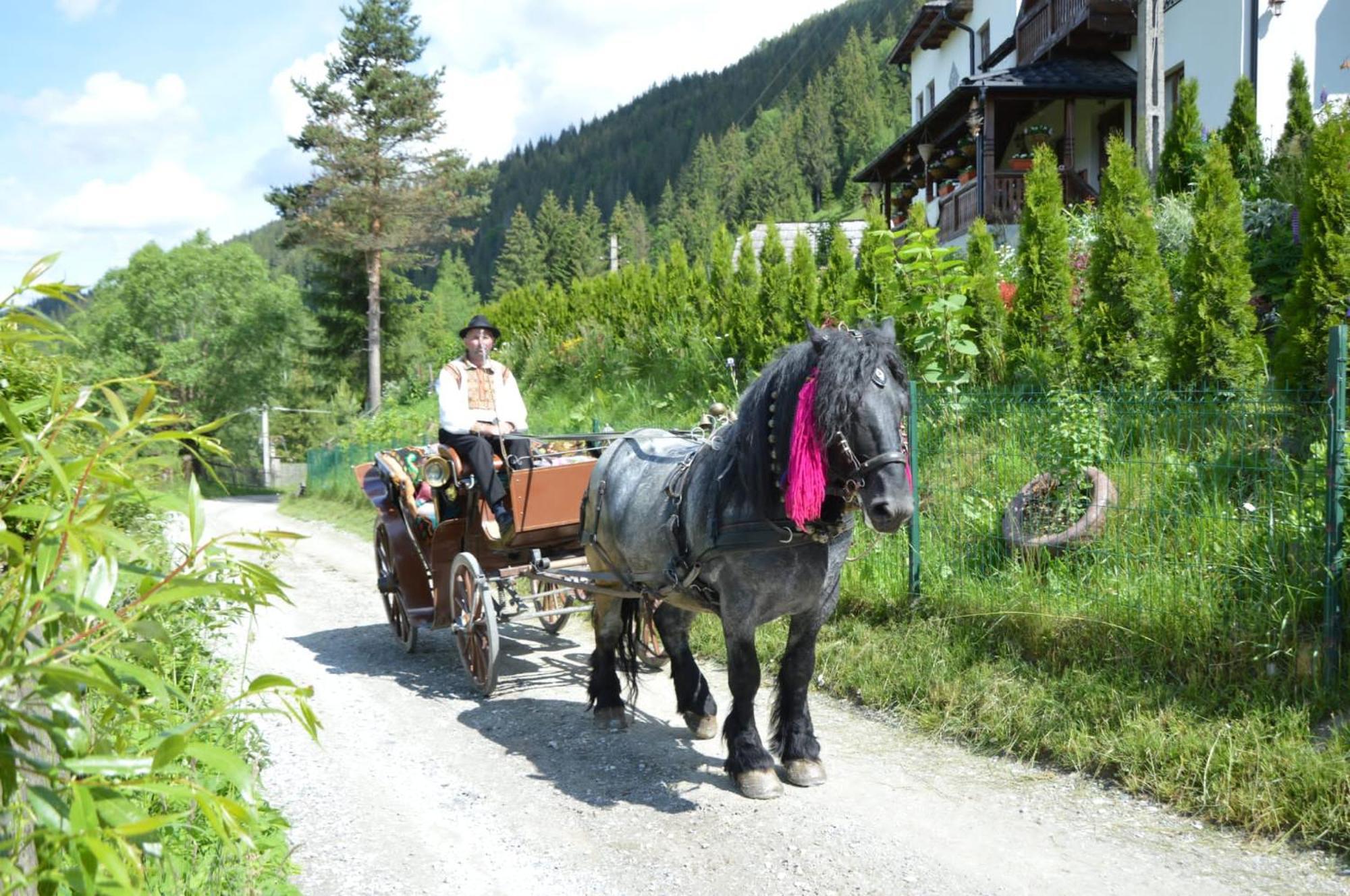 Ciocanesti Casa Aureliana 빌라 외부 사진